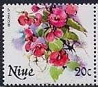 Colnect-4160-105-Begonia-sp.jpg