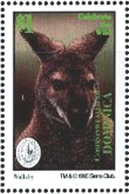 Colnect-3207-164-Wallaby.jpg