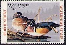 Colnect-203-187-Mallard.jpg