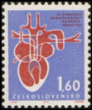 Colnect-441-031-Human-heart.jpg