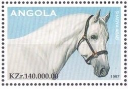 Colnect-5258-994-Shagya-Arab.jpg