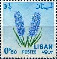 Colnect-1364-620-Hyacinth.jpg
