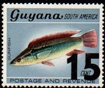 Colnect-4734-746-Pike-Cichlid.jpg
