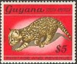 Colnect-867-171-Wild-cat.jpg