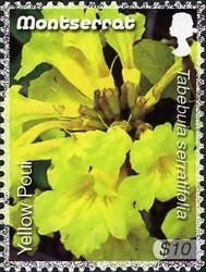 Colnect-1524-188-Yellow-Poui.jpg