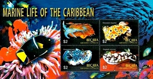 Colnect-2421-995-Sea-Slugs.jpg