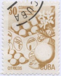 Colnect-1049-359-Fresh-fruit.jpg