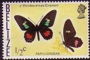 Colnect-455-109-Butterflies.jpg