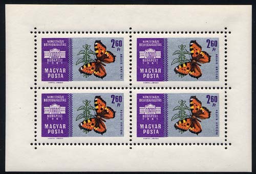 Skap-hungary_12_bfly-ss.jpg