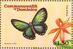 Colnect-3238-434-Atala-Eumaeus-atala.jpg