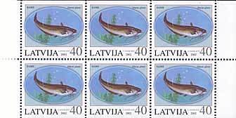 Colnect-192-097-Wels-Catfish-Silurus-glanis.jpg