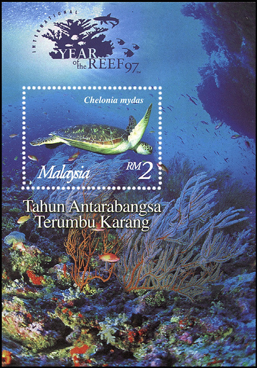 Colnect-1052-708-Green-Sea-Turtle-Chelonia-mydas.jpg