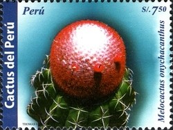 Colnect-1591-475-Melocactus-onychacanthus.jpg