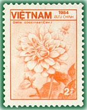 Colnect-1628-878-Dahlia-coccinea.jpg