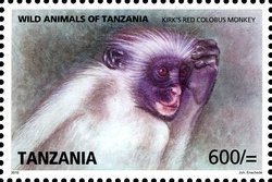 Colnect-1692-784-Zanzibar-Red-Colobus-Procolobus-kirkii.jpg