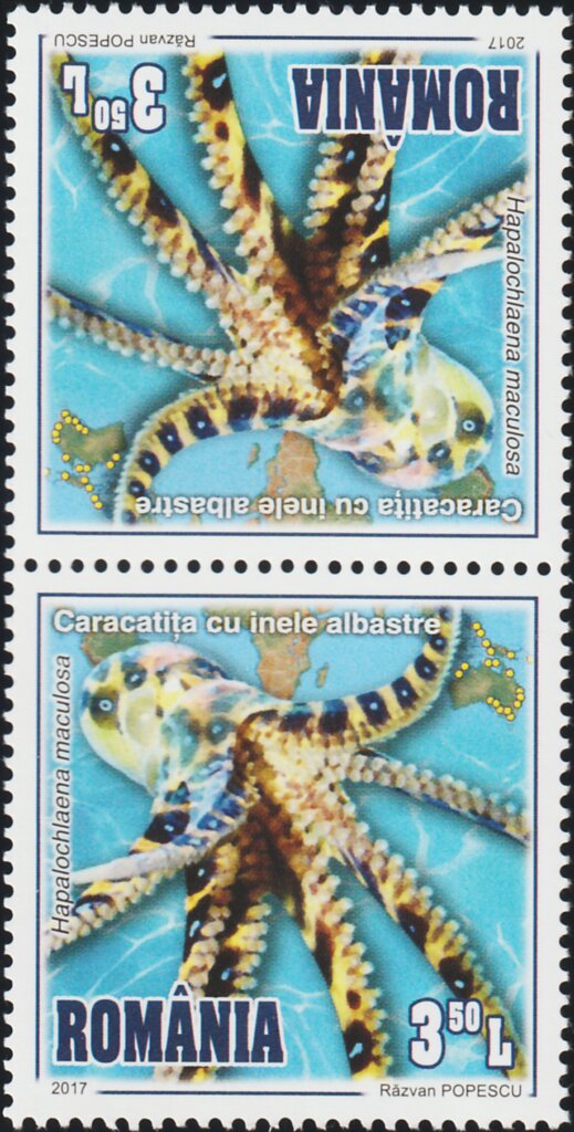 Colnect-5889-407-Southern-Blue-ringed-Octopus-T%C3%AAte-b%C3%AAche-Pair-Type-II.jpg