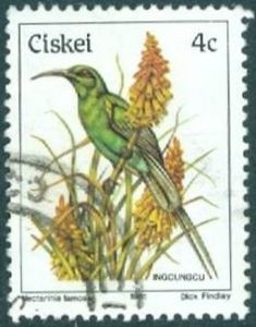 Colnect-1265-915-Nectarinia-formosa.jpg
