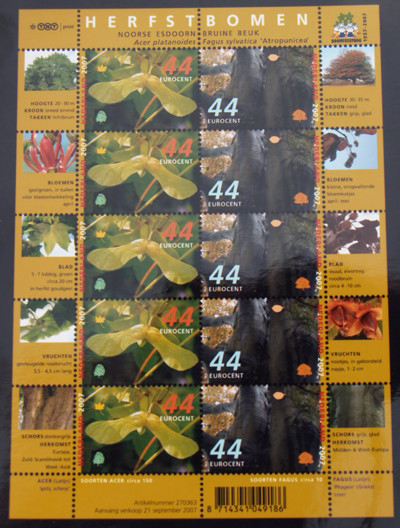 Colnect-669-772-Trees-in-the-autumn.jpg