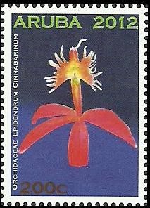 Colnect-1827-937-Epidendrum-cinnabarinum.jpg