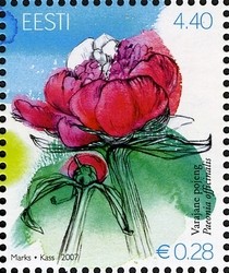 Colnect-420-735-Paeonia-officinalis.jpg