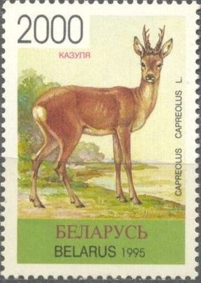 Colnect-2508-504-Roe-Deer-Capreolus-capreolus.jpg