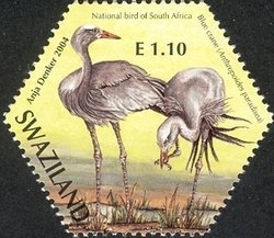Colnect-1696-578-Blue-Crane-Anthropoides-paradisea.jpg