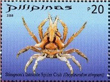 Colnect-2874-933-Stimpson--s-Intricate-Spider-Crab-Oxypleurodon-stimpsoni.jpg