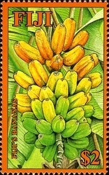 Colnect-934-712-Fiji--s-Bananas.jpg