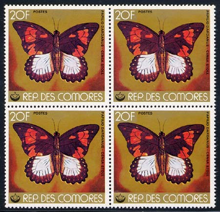 Skap-comoro-is_06_bfly-moth_020f_blk.jpg
