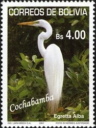 Colnect-1411-788-Great-White-Egret-Egretta-alba.jpg