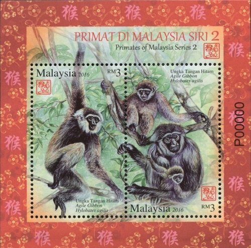 Colnect-3241-388-Agile-Gibbon-Hylobates-agilis.jpg