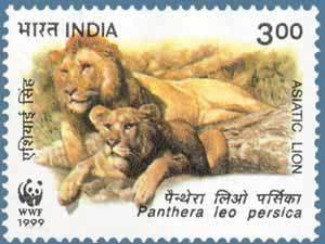 Colnect-549-788-Asiatic-Lion-Panthera-leo-persica.jpg
