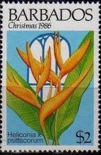 Colnect-1109-937-Heliconia-psitacorum.jpg