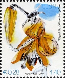 Colnect-420-736-Lilium-lancifolium.jpg