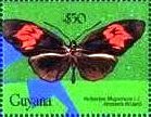 Colnect-4743-748-Heliconius-melpomene.jpg