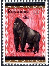 Colnect-1177-570-GorillaGorilla-beringei.jpg