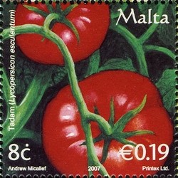 Colnect-657-681-Tomatoes-Lycopersicon-esculentum.jpg