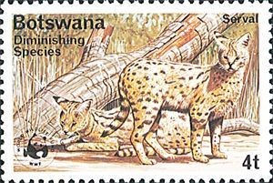 Colnect-1218-085-Serval-Leptailurus-serval.jpg