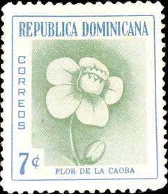 Colnect-3058-667-Mahogany-flower.jpg