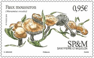 Colnect-5353-191-Fairy-Ring-Mushroom-Marasmius-oreades.jpg
