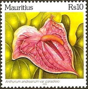 Colnect-1675-272-Anthurium-Andreanum---Paradisio.jpg