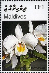 Colnect-2362-918-Dendrobium-formosum.jpg