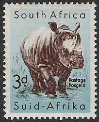 Rhino.jpg