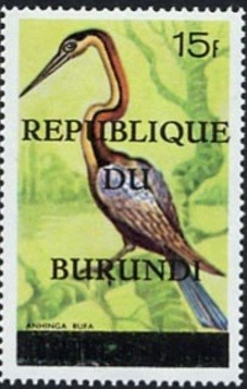 Colnect-1430-584-African-Darter-Anhinga-rufa.jpg