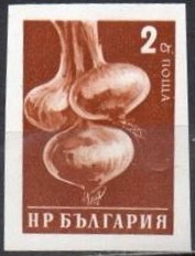 Colnect-1644-641-Onion-Allum-cepa.jpg
