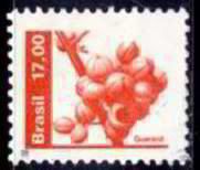 Colnect-960-783-Natural-Economy-Resources--Guarana.jpg
