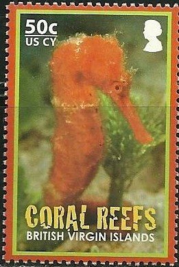 Colnect-3541-985-Seahorse-Hippocampus-sp.jpg