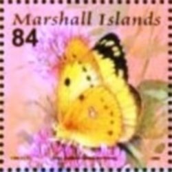 Colnect-3470-858-Pale-clouded-yellow-butterfly.jpg
