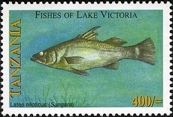 Colnect-1690-466-Nile-Perch-Lates-niloticus.jpg