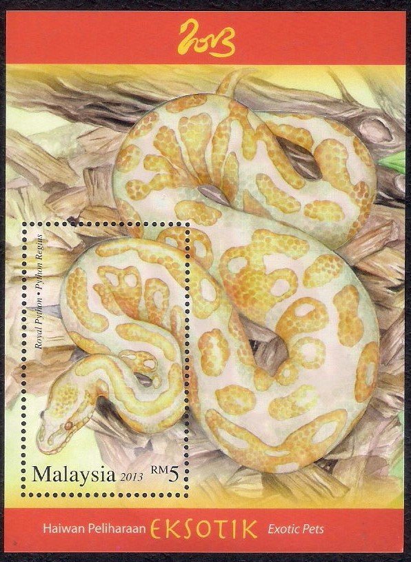 Colnect-4456-989-Ball-Phython-Python-regius.jpg